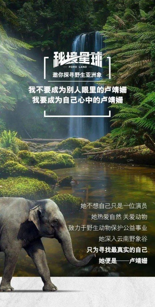 猫头鹰森林逃生